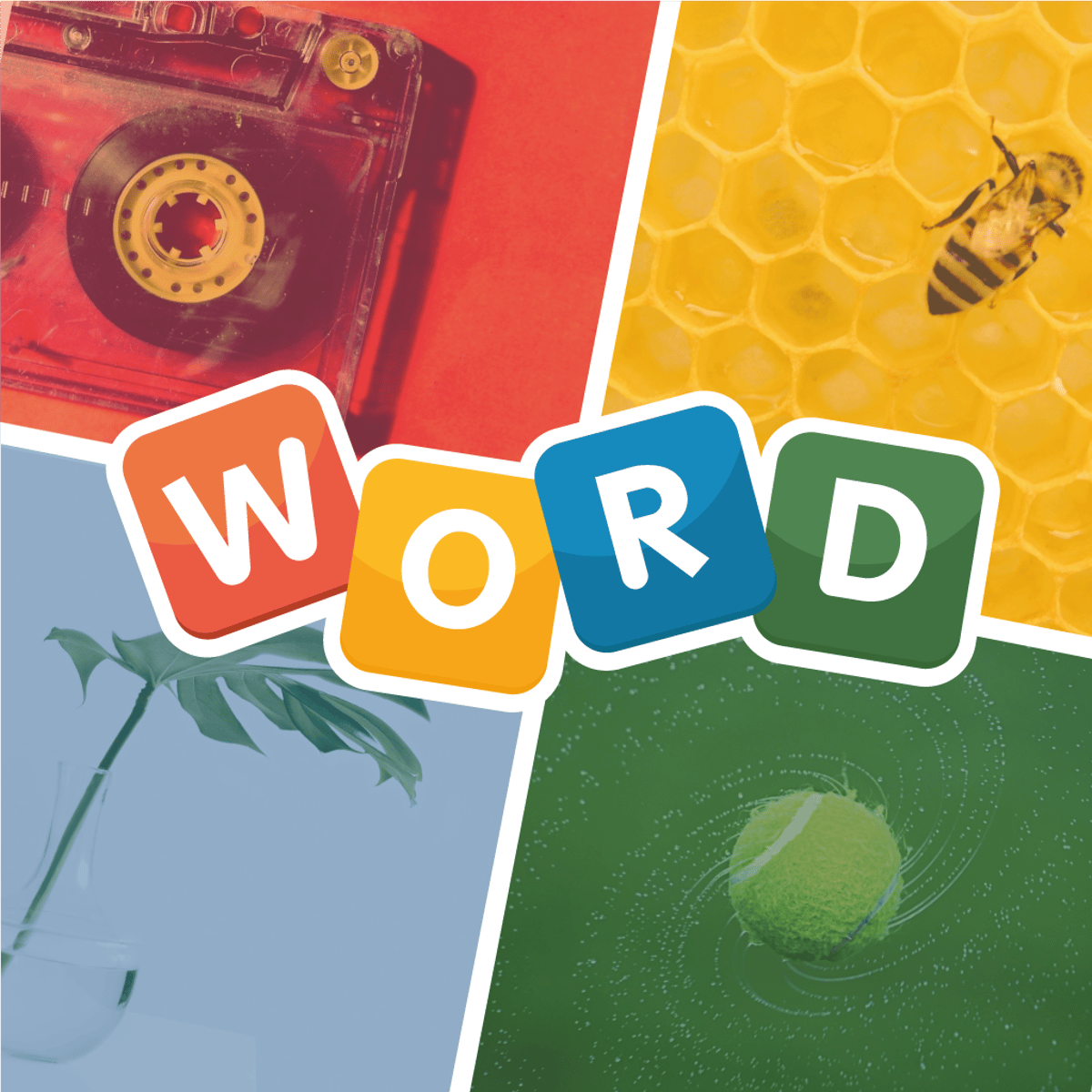 Install 4 Pics 1 Word Guess Puzzle Game App