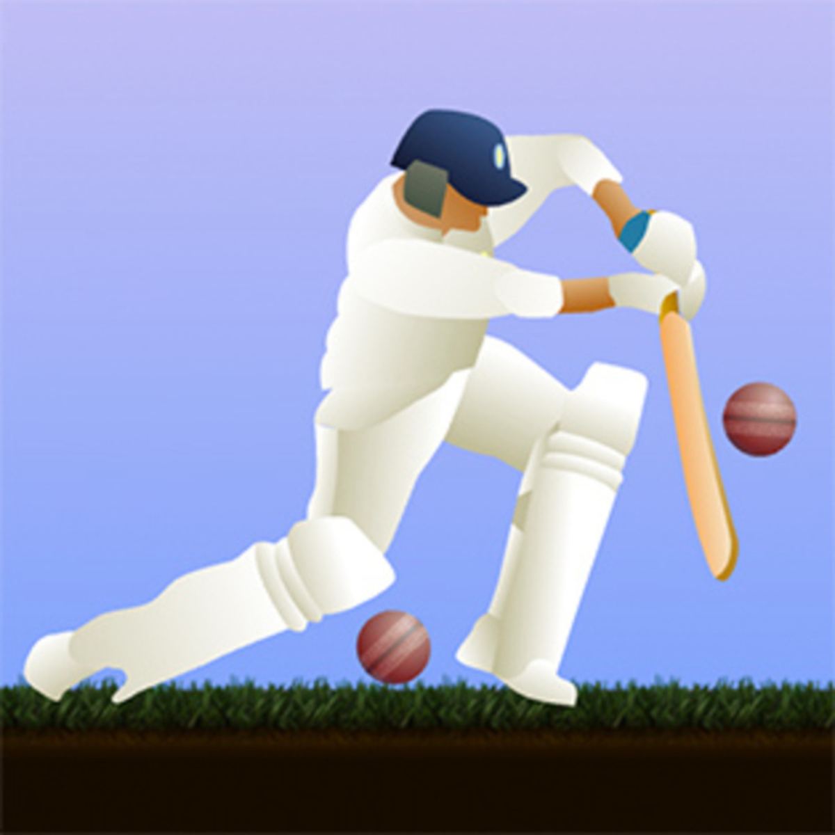 Install Little Master Sports Cricket Challenge Game App