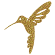 Install Papyrus Online App