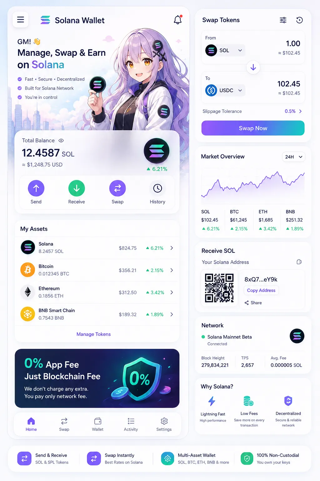 Solana Wallet