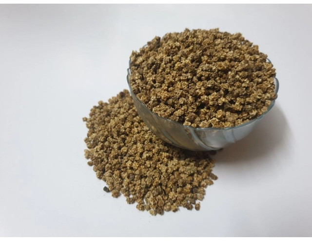 Indoor and Outdoor Plants